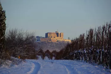 WinterHambacherSchloss