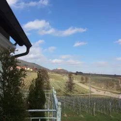 FrühlingAusblick (© by LHC)