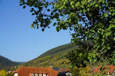 AussichtNov2017 (© by LHC)