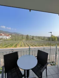Ausblick_Frühjahr_Zi_1