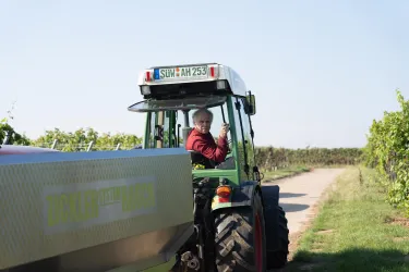 Ein Landwirt fährt einen Traktor auf einem Weg zwischen Weinreben. Die Sonne scheint und der Himmel ist klar.