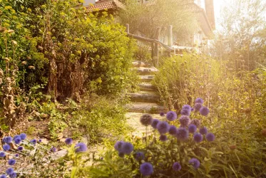 Bibelgarten (© Thomas Hoecker)
