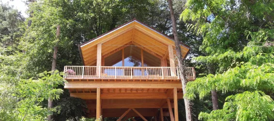Ein modernes Holzhaus umgeben von Bäumen. Die große Fensterfront bietet viel Licht und einen Blick auf die Natur.