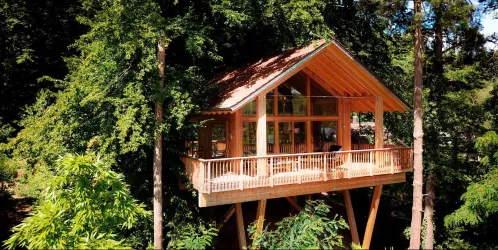 Ein modernes Baumhaus aus Holz, umgeben von üppigem Grün. Viel Licht strömt durch die großen Fenster und die Terrasse bietet einen schönen Ausblick auf die Natur.