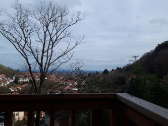 Ein ruhiger Blick auf das Tal mit einem leeren Baum vor einer hügeligen Landschaft. Im Hintergrund sind Häuser sichtbar und der Himmel ist bewölkt.