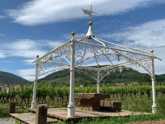 Laube zwischen St .Martin und Maikammer (© Tourist-Info St. Martin)