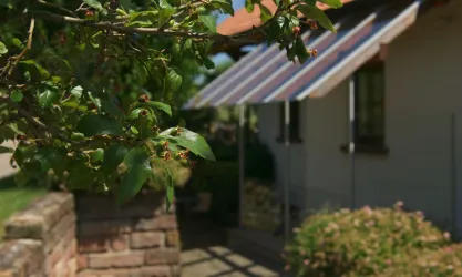 Ein schöner Außenbereich mit einer Pflanze im Vordergrund. Im Hintergrund ist ein Haus mit einem Markisenfenster zu sehen.