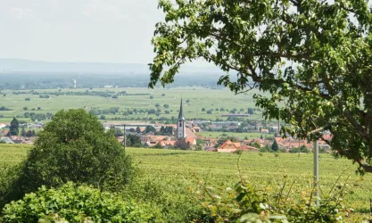 Eine malerische Landschaft mit Weinbergen und einem Dorf im Hintergrund. Im Zentrum steht ein Kirchturm vor einem weiten, grünen Tal.