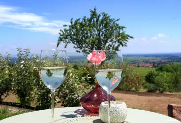 Zwei Gläser Wein stehen auf einem Tisch, umgeben von einer schönen Landschaft. Im Hintergrund sind Bäume und ein klarer Himmel zu sehen.