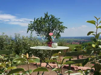 Ein kleiner Tisch mit einer Vase und einer Blume steht in einem Garten. Im Hintergrund sind sanfte Hügel und ein blauer Himmel sichtbar.