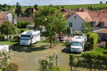 Wohnmobilstellplatz Weingut Schreieck (© Weingut Schreieck)