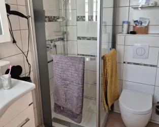 Ein modernes Badezimmer mit einer Dusche und einem WC. Es gibt Handtücher und Pflegeprodukte auf den Regalen.