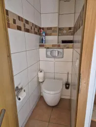 Ein kleines, modernes Badezimmer mit einer weißen Toilette. Die Wände sind mit hellen Fliesen und dekorativen Mosaiken gestaltet.