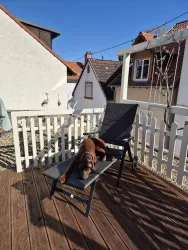 Ein Hund liegt entspannt auf einer Liege auf einer sonnigen Terrasse. Im Hintergrund sind Häuser und ein klarer blauer Himmel zu sehen.