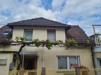 Ein gemütliches Haus mit einem Satteldach und grünen Weinranken. Der Himmel ist bewölkt und es gibt eine gelbe Umzäunung.
