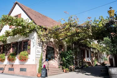 Weingut Gernert (© Tourist-Info St. Martin)