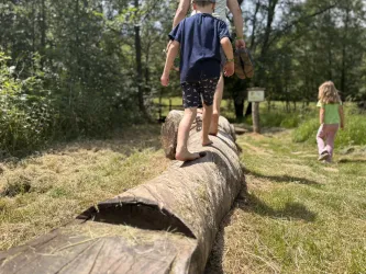 Kinder balancieren auf einem Baumstamm im Freien. Die Umgebung ist grün und sonnig.