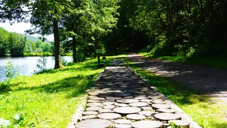 Ein schöner Weg aus Steinplatten führt entlang eines ruhigen Gewässers. Umgeben von üppigem Grün und Bäumen bietet die Umgebung eine friedliche Atmosphäre.