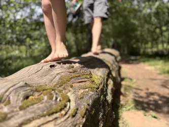 Zwei Kinder balancieren barfuß auf einem dicken Baumstamm im Wald. Die Umgebung ist grün und sonnig.