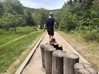 Ein Junge balanciert auf Baumstämmen in einem Naturpark. Um ihn herum sind Bäume und ein grüner Weg.