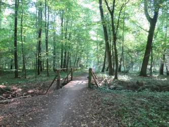 Brücke über den Spiegelbach