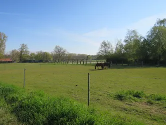Blick von der Marienkapelle auf die Queichwiesen