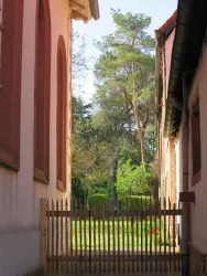 Blick in den Pfarrgarten