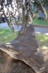 Markanter Findling an der ev. Kirche in Knittelshe