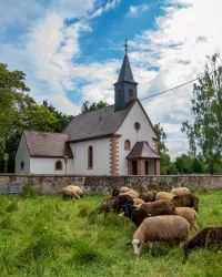 Niederotterbach Kirche (© Tourismusverein Bad Bergzabern e.V.)