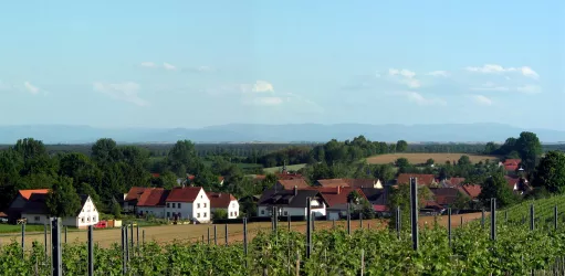 Niederotterbach1 (© Paul Perseke)