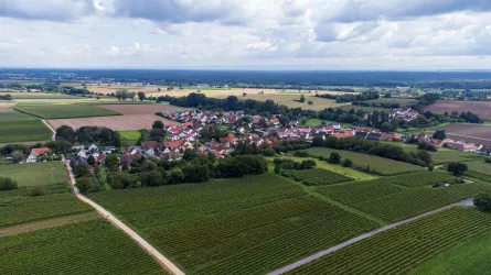 Niederotterbach von oben (© Tourismusverein Bad Bergzabern e.V.)