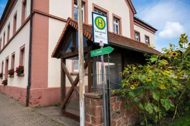 Niederotterbach Ort Richtung Bad Bergzabern (© Tourismusverein Bad Bergzaberner Land e.V.)