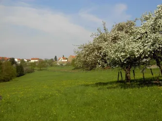 Frühling in Geiselberg 059