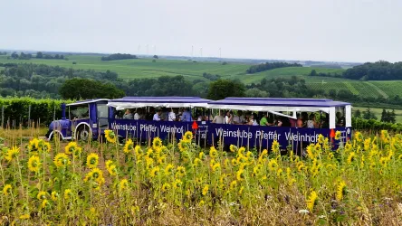 Ein blauer Weinfahrzeug fährt durch ein Feld mit Sonnenblumen. Im Hintergrund erstrecken sich grüne Hügel und eine Landschaft.