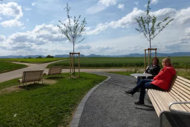 Panoramaplätzl an der Landauer Kapelle (© Verein Südliche Weinstrasse Herxheim e.V.)