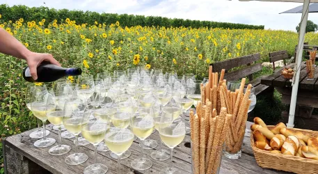 Ein schöner Tisch mit Sektgläsern, die in einer malerischen Umgebung mit Sonnenblumen stehen. Im Hintergrund sind grüne Felder zu sehen, die eine einladende Atmosphäre schaffen.
