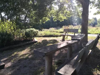 Picknickplatz am Biodiversitätsplatz