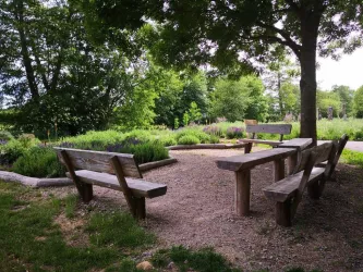 Biodiversitätsplatz Herxheim Picknickbänke anne