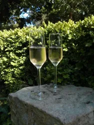 Nacht der Weine 2 Sektgläser (© Südliche Weinstrasse Herxheim)