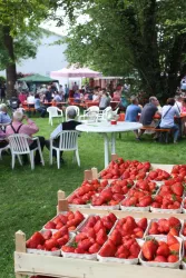 Ein lebhaftes Fest mit vielen Tischen und Gästen im Freien. Im Vordergrund sind frische, rote Erdbeeren in Holzschalen zu sehen.