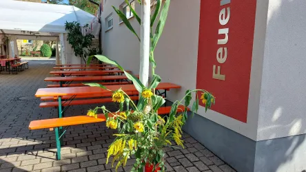 Ein dekorierter Mais mit gelben Blüten steht neben einer Wand, die das Wort "Feuer" zeigt. Im Hintergrund sind Tische mit orangefarbenen Bänken zu sehen.