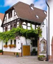 Weingut Paulushof in Venningen (© Weingut Paulushof)