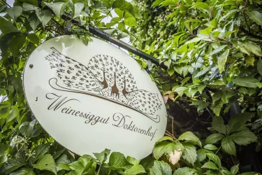 Doktorenhof (© Verein SÜW Edenkoben, T. Kujat)