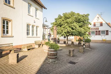 Ortsmitte Venningen (© Verein SÜW Edenkoben, T. Kujat)