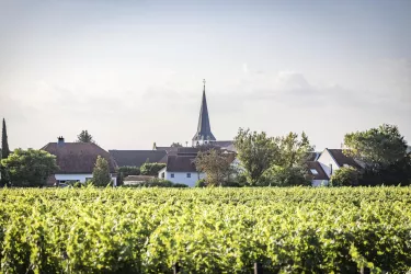 Ortsansicht (© Verein SÜW Edenkoben, T. Kujat)