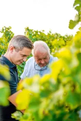 Winzer im Wingert (© Marc Ullemeyer, Quelle Weingut Johler)