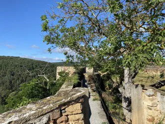 Burg Battenberg mit Blick in den Pfälzerwald