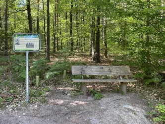 Infotafel und Bank am Jägerkreuz