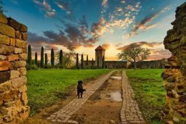 Ein Hund steht auf einem gepflasterten Weg, umgeben von grünen Wiesen und alten Steinmauern. Im Hintergrund sind Zypressen und ein schöner Sonnenuntergang zu sehen.