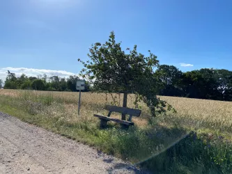 Bank Battenberger Höhe